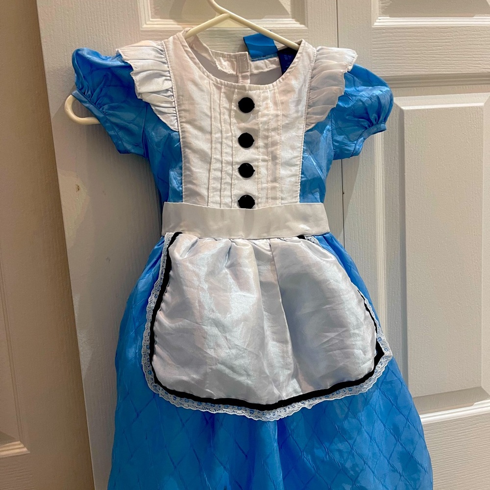 Alice wonderland costume